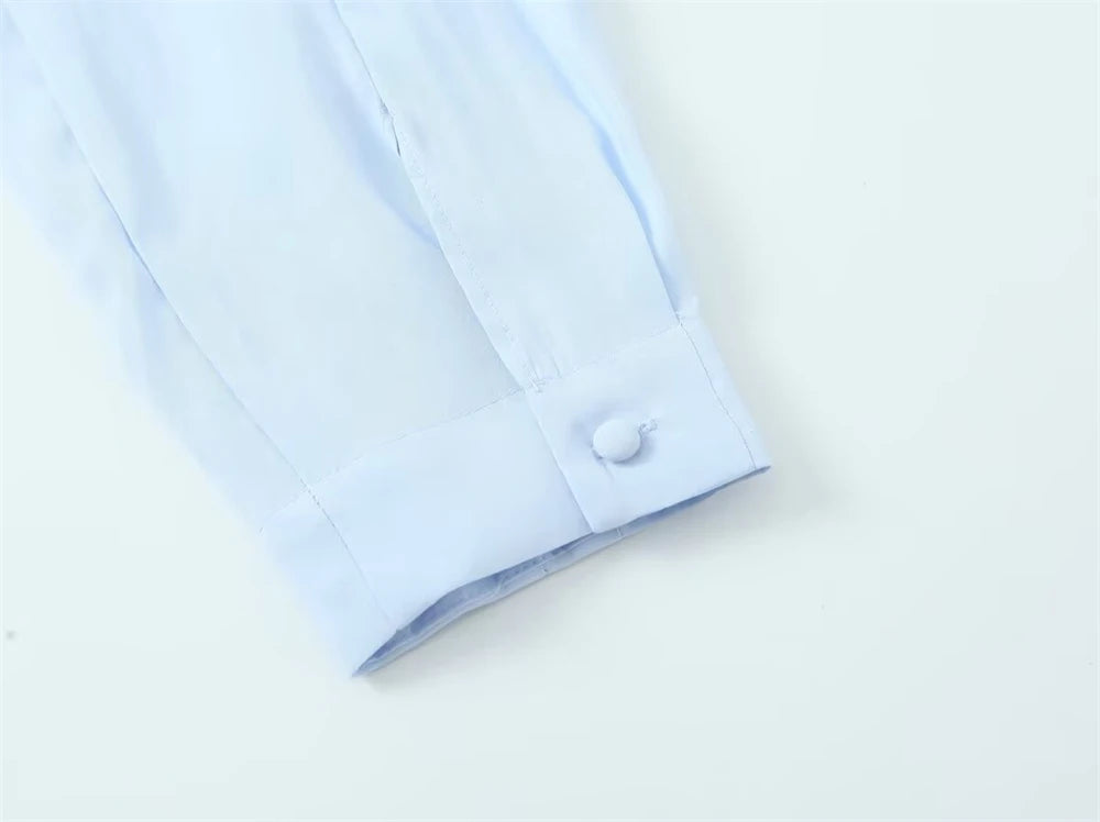 Women's Shirt 2025 New Fashion Autumn Winter Long Sleeve Soft Drape Shirt for Women Casual Chic Ladies Clothes