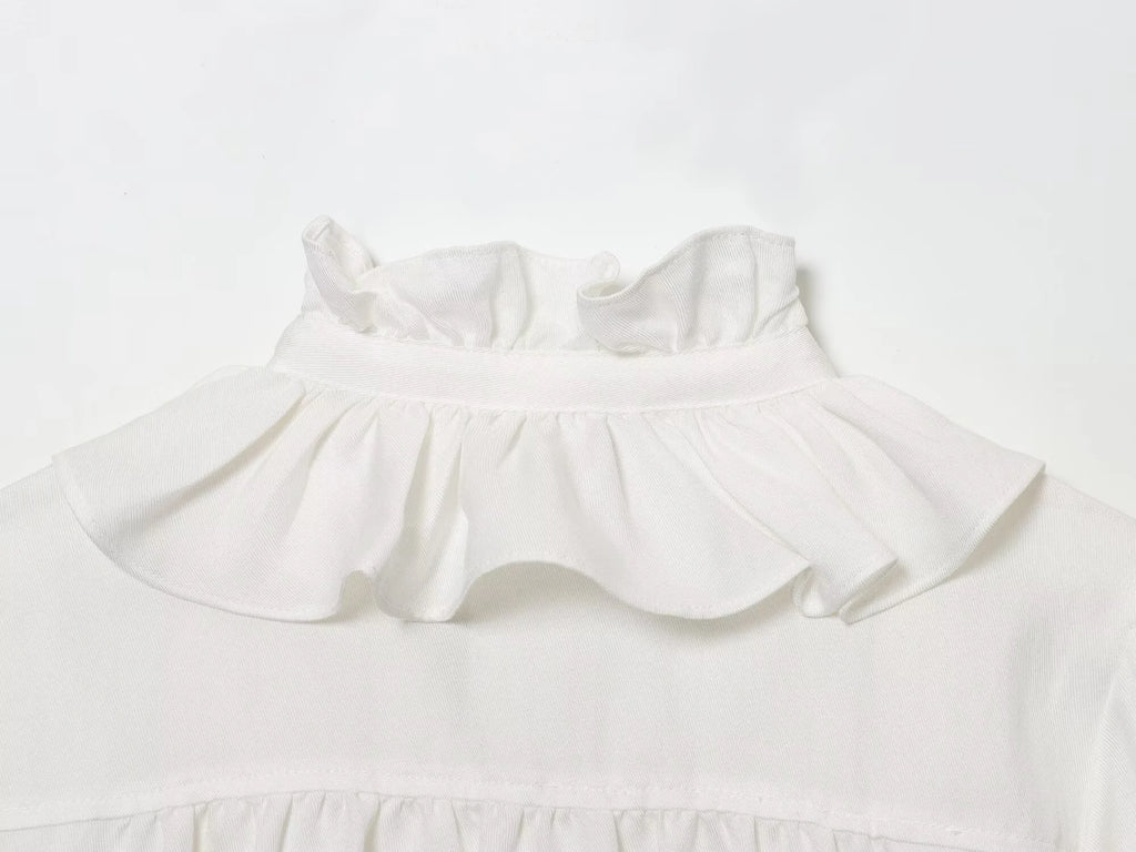 Winter new women's casual versatile temperament simple and fashionable long sleeved single breasted pleated collar top