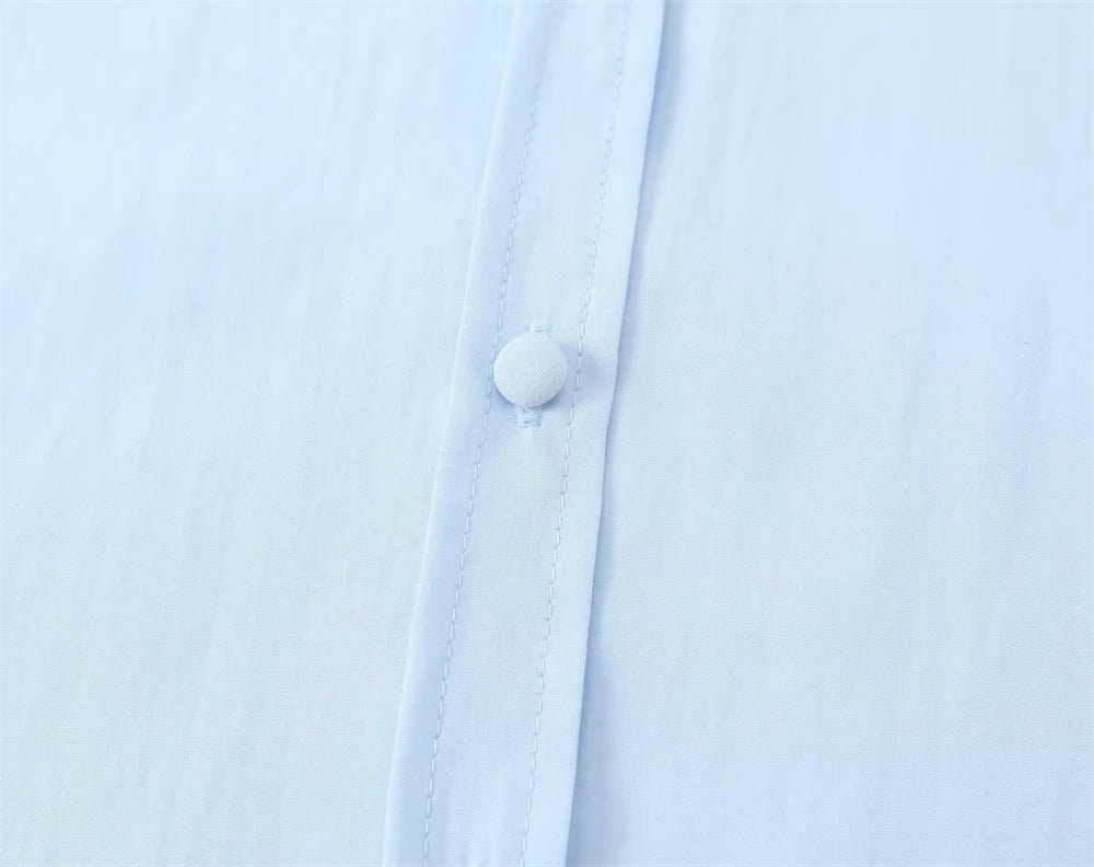 Women's Shirt 2025 New Fashion Autumn Winter Long Sleeve Soft Drape Shirt for Women Casual Chic Ladies Clothes